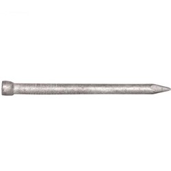 Bullet Head Nail Galv 2.0 X 40mm 2kg