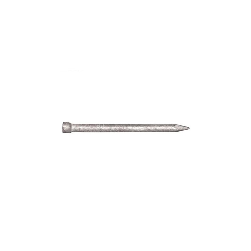 Bullet Head Nail Galv 2.0 X 40mm 2kg