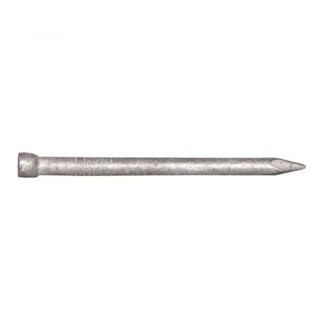 Bullet Head Nail Galv 2.0 X 40mm 2kg