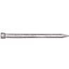 Bullet Head Nail Galv 2.0 X 40mm 2kg