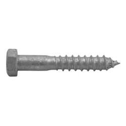 Coach Screw Galv M10 X 120mm