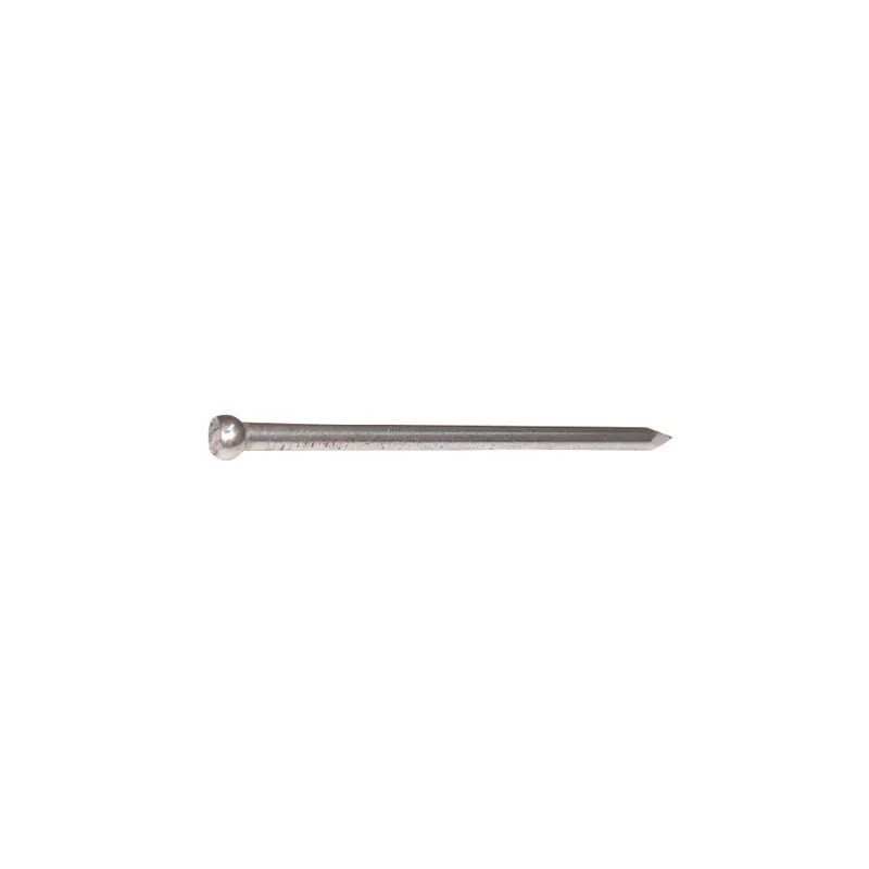 Bullet Head Nail 304 S/S 2.0 X 40mm 1kg