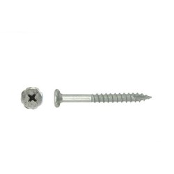 Flower Head Screw Galv 8g X 20mm Type 17 1000pk