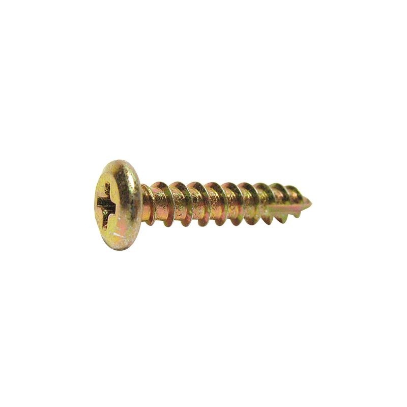 Type 17 Wafer Head Screw Zinc - 10g X 45mm (50pk)