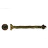 Self Drilling Screw Self Embed Head Wing Zinc - 10g X 60mm 50pk