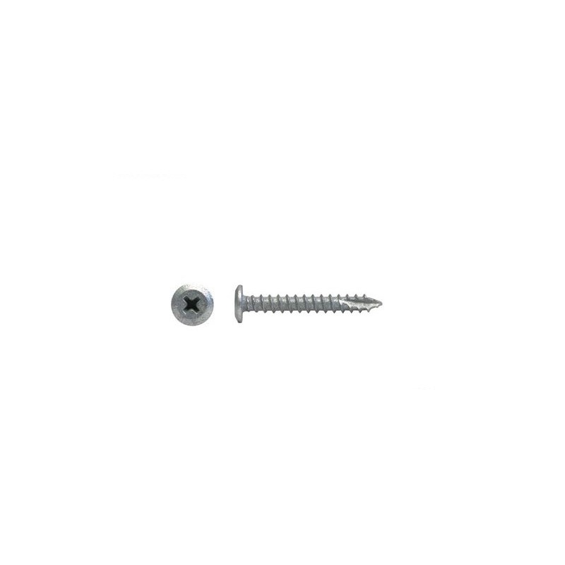 Type 17 Wafer Head Screw Galv - 10g X 35mm (50pk)