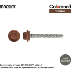 Roofing Screw Zip Terrain - 12g X 50mm 1000pk