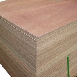 Brace Ply F22 - 2745 X 1220 X 4.0mm