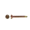 Flower Head Screw Self Drilling Zinc 10g X 45mm 1000pk