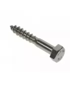 Coach Screw Stainless Steel