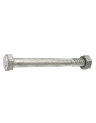 Hex Head Bolts