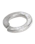 Spring Washer Galvanised