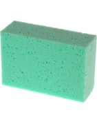Sponges