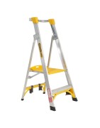 Ladders Planks