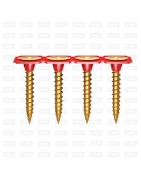 Collated Screws