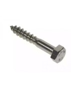 Coach Screw Stainless Steel