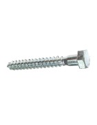 Coach Screw Zinc