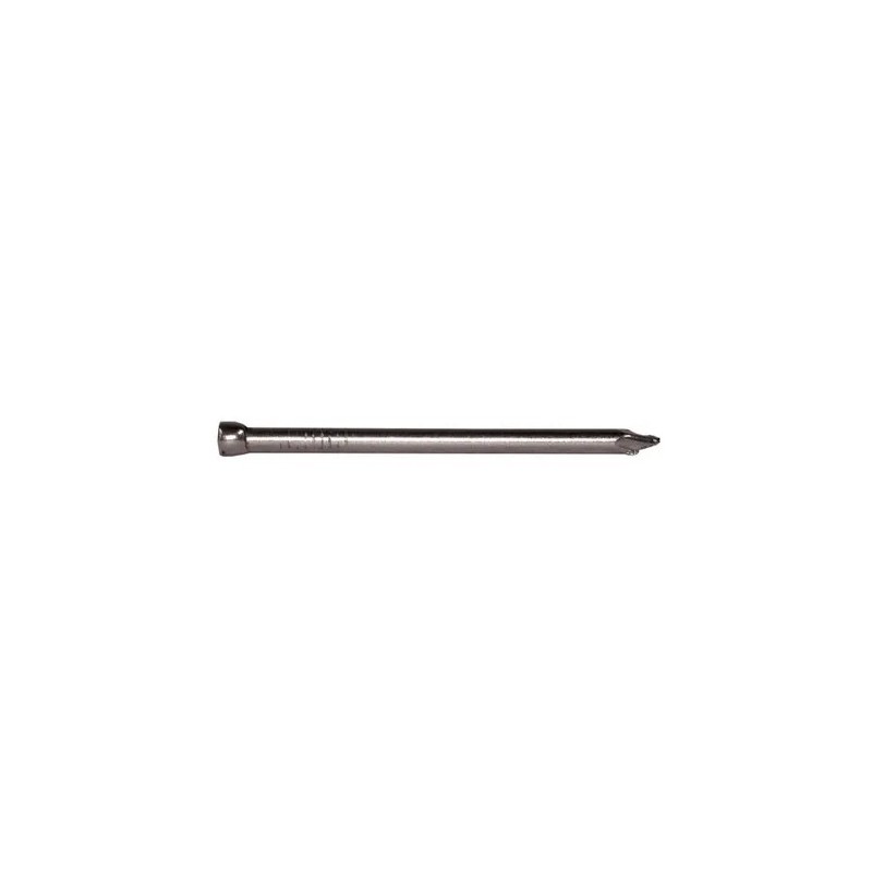 Bullet Head Nail Bright 2.8 X 65mm 500g