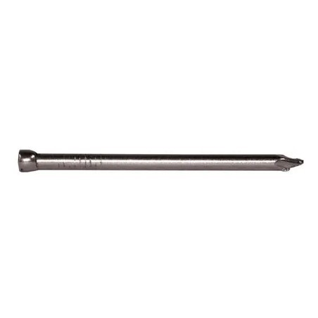 Bullet Head Nail Bright 2.8 X 65mm 500g
