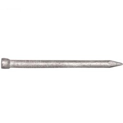 Bullet Head Nail Galv 3.75 X 100mm 2kg