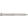 Bullet Head Nail Galv 3.75 X 100mm 2kg