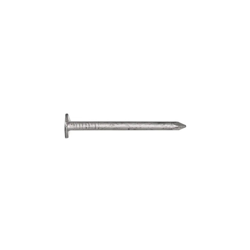 Clouts Galv 2.8 X 30mm 2.5kg
