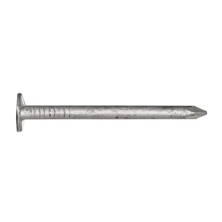 Clouts Galv 2.8 X 30mm 2.5kg