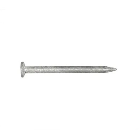 Fibre Cement Nail Galv 2.8 X 40mm 2kg