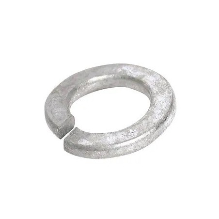 M12 Spring Washer Galv